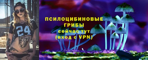 PSILOCYBIN Нея