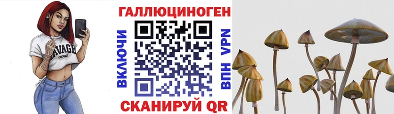 Галлюциногенные грибы ЛСД  Дубна 