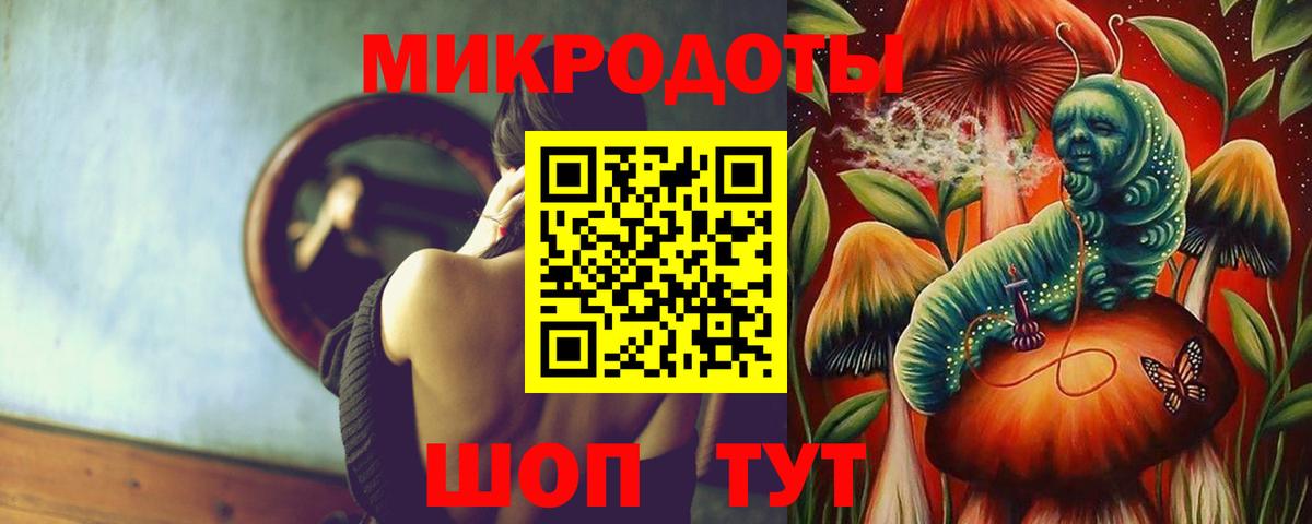 купить наркоту  Дубна  Галлюциногенные грибы Psilocybe 