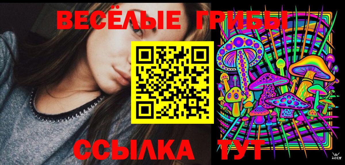 Псилоцибиновые грибы GOLDEN TEACHER Дубна