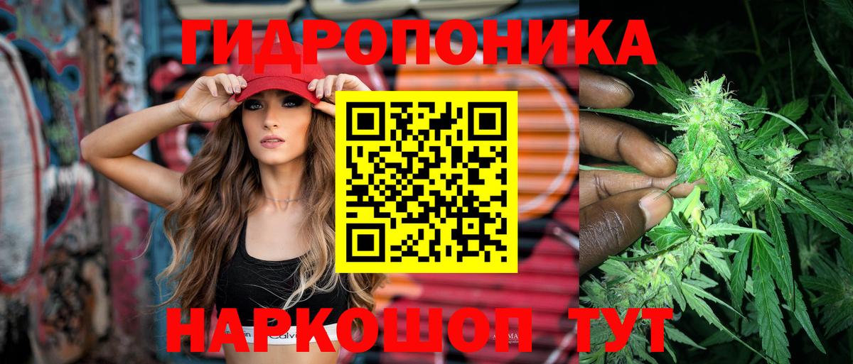 Марихуана марихуана  Каннабис планчик  Шишки марихуана THC 21%  Конопля индика  Дубна 